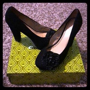 Gianni Bini felt black pumps